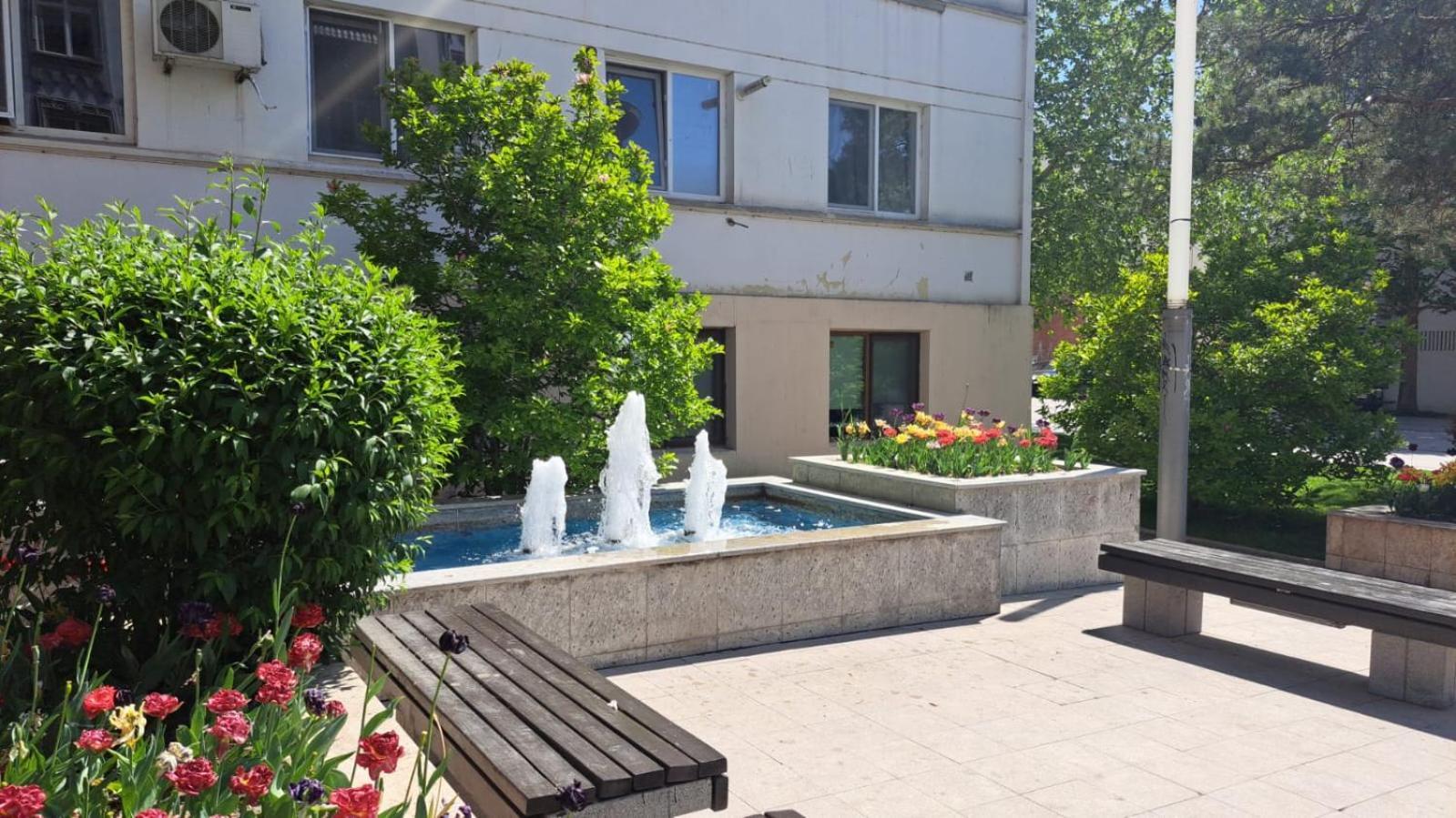 Apartament Kitty Centrul Istoric Craiova Exteriör bild