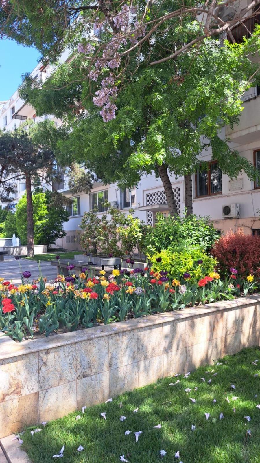 Apartament Kitty Centrul Istoric Craiova Exteriör bild